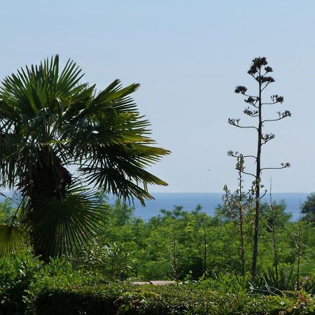 Sea Explorer House Novigrad Istria Buitenkant foto