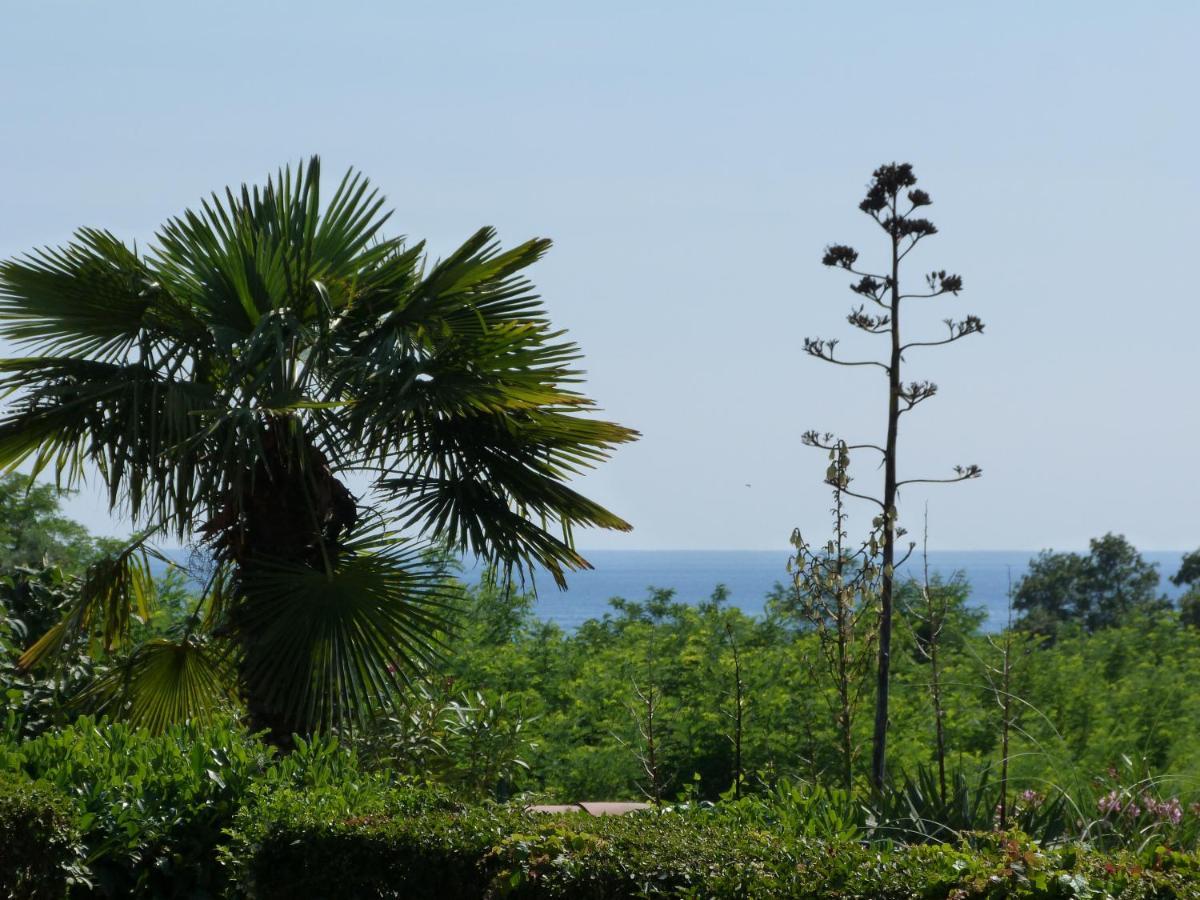 Sea Explorer House Novigrad Istria Buitenkant foto