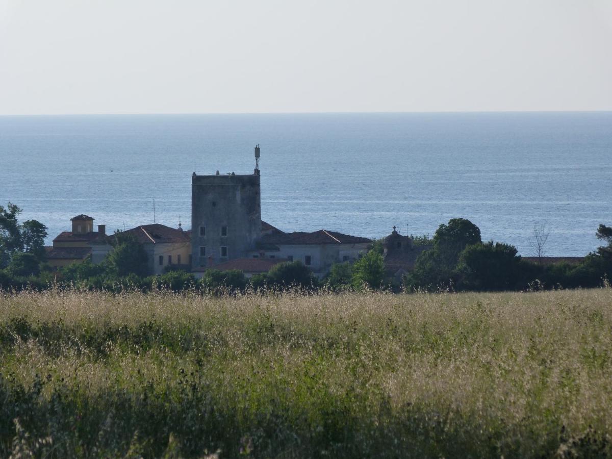 Sea Explorer House Novigrad Istria Buitenkant foto